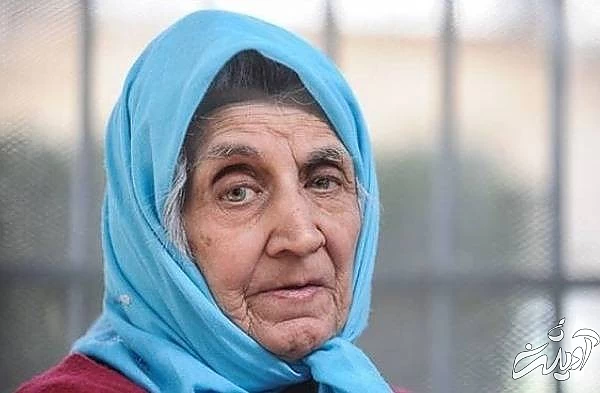 پروین میکده 